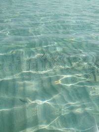 Full frame shot of swimming pool