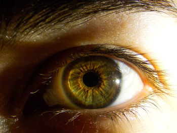 Close-up of human eye