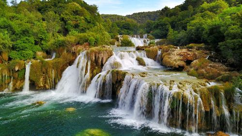 Scenic view of waterfall in forest