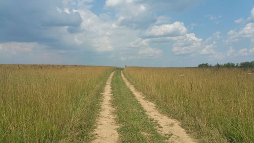 Dirt road passing through field