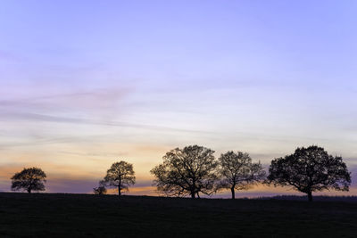 Silhouette trees on field against sky during sunset