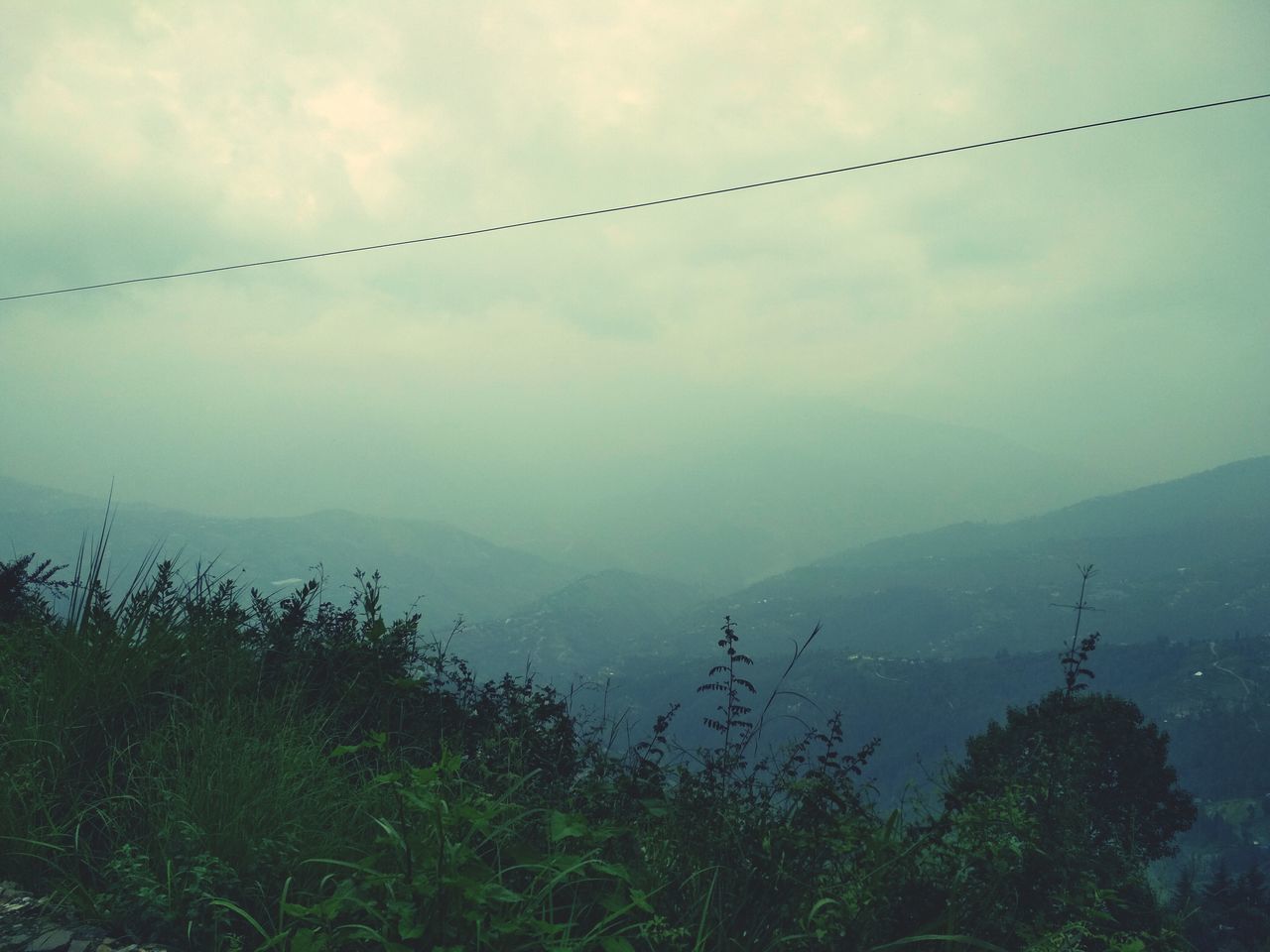 SCENIC VIEW OF TREES ON LANDSCAPE AGAINST SKY