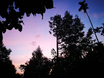 Low angle view of silhouette trees against sky at sunset