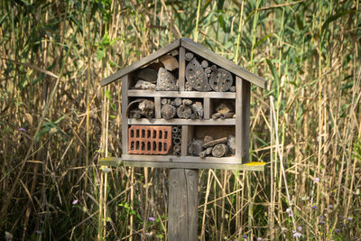 Close-up of birdhouse on tree stump in forest