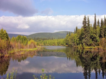 Scenic view of lake and trees against sky