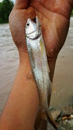 Midsection of man holding fish