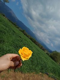 Midsection of person holding yellow flower on field against sky