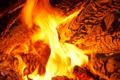 Close-up of bonfire