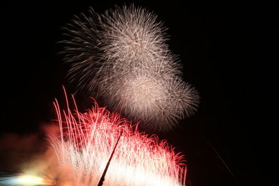 Low angle view of firework display at night