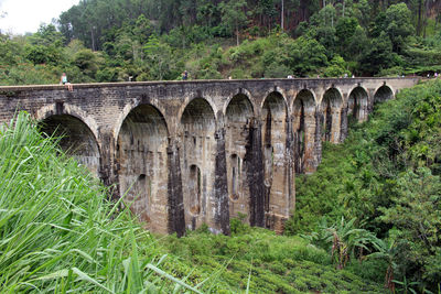 Arch bridge against trees