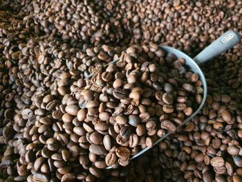 High angle view of coffee beans