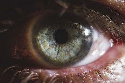 Close-up of human eye