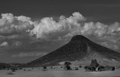 Group of people on sand