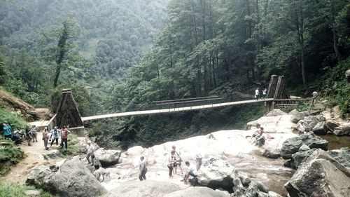 People walking on rocks in forest