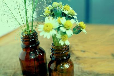 Close-up of flowers in vase on table