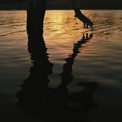 Reflection of trees in water