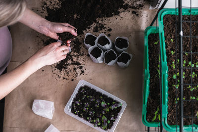 High angle view of woman standing by potted plant