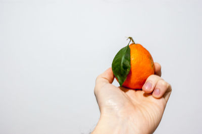 Close-up of hand holding fruit against white background