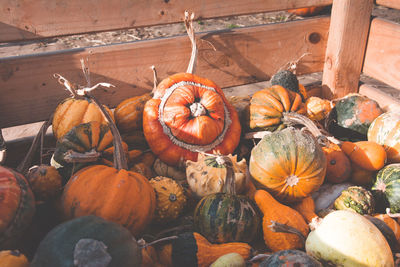 Pumpkins in market during autumn