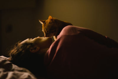 Close-up of cat sleeping on bed