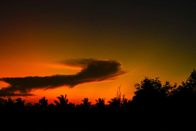 Silhouette trees against dramatic sky during sunset