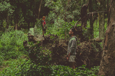 Rear view of man standing amidst trees in forest