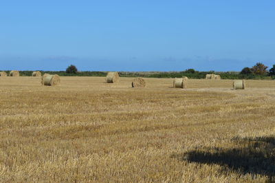 Hay bales on field against clear sky