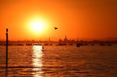 Silhouette birds flying over sea against sky during sunset