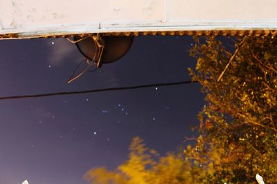 Low angle view of trees