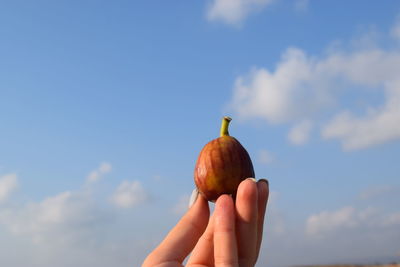 Close-up of hand holding fig against sky