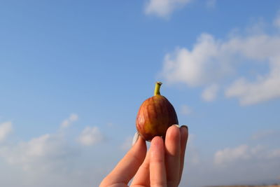 Close-up of hand holding apple against sky