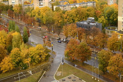 High angle view of street amidst trees during autumn
