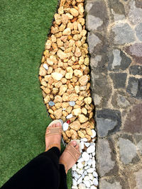 Feet, slippers, grass, pebbles, and floor