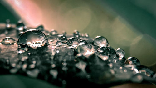 Close-up of water splashing on glass