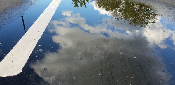 Reflection of trees in puddle on road