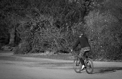 Rear view of man riding bicycle on road against trees