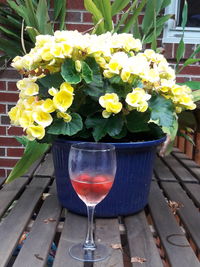 Close-up of flower pot on table