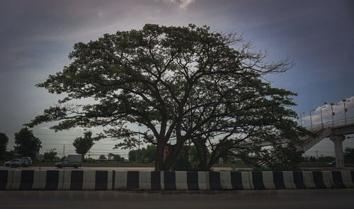 Low angle view of trees by building against sky
