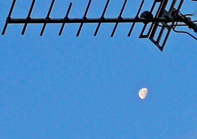 Low angle view of moon against clear blue sky