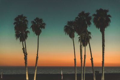 Palm trees on beach against sky during sunset