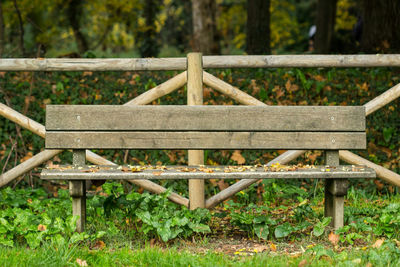 Close-up of wood against trees