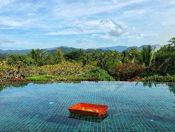 Plants by swimming pool against sky