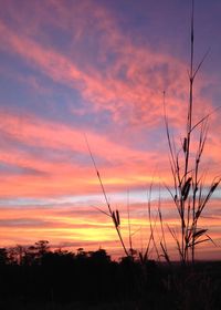 Scenic view of dramatic sky at sunset