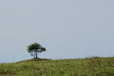 Scenic view of land against clear sky