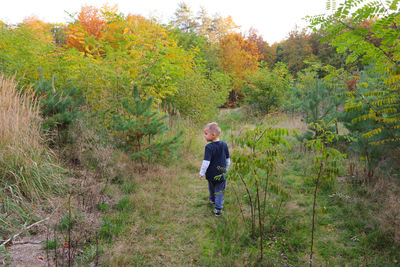 Rear view of boy walking amidst plants on land
