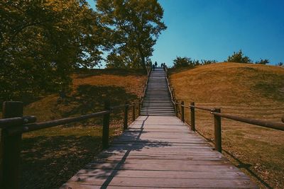 Footbridge amidst trees in forest during autumn