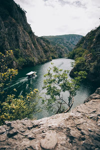 Scenic view of river amidst trees against sky