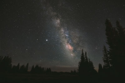 Low angle view of silhouette trees against sky at night