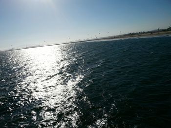 Birds flying over sea