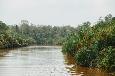 Scenic view of lake against clear sky